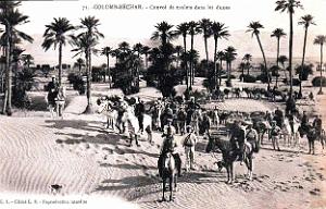 2493- Colomb-Bechar - Convoi de Mulets dans les Dunes
